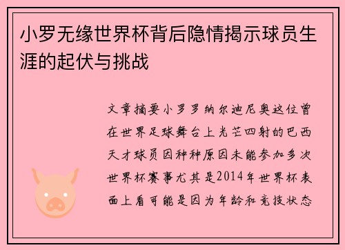 小罗无缘世界杯背后隐情揭示球员生涯的起伏与挑战 小罗无缘世界杯背后隐情揭示球员生涯的起伏与挑战